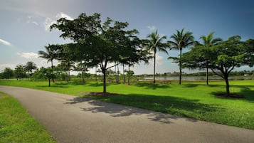 A paved pathway in a park with trees and benches.