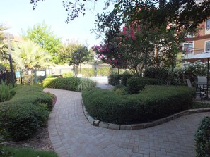A paved pathway in a landscaped garden area with various shrubs and trees, including some with pink flowers. - Staybridge Suites Irving Las Colinas by IHG (Irving)