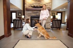 Property amenity