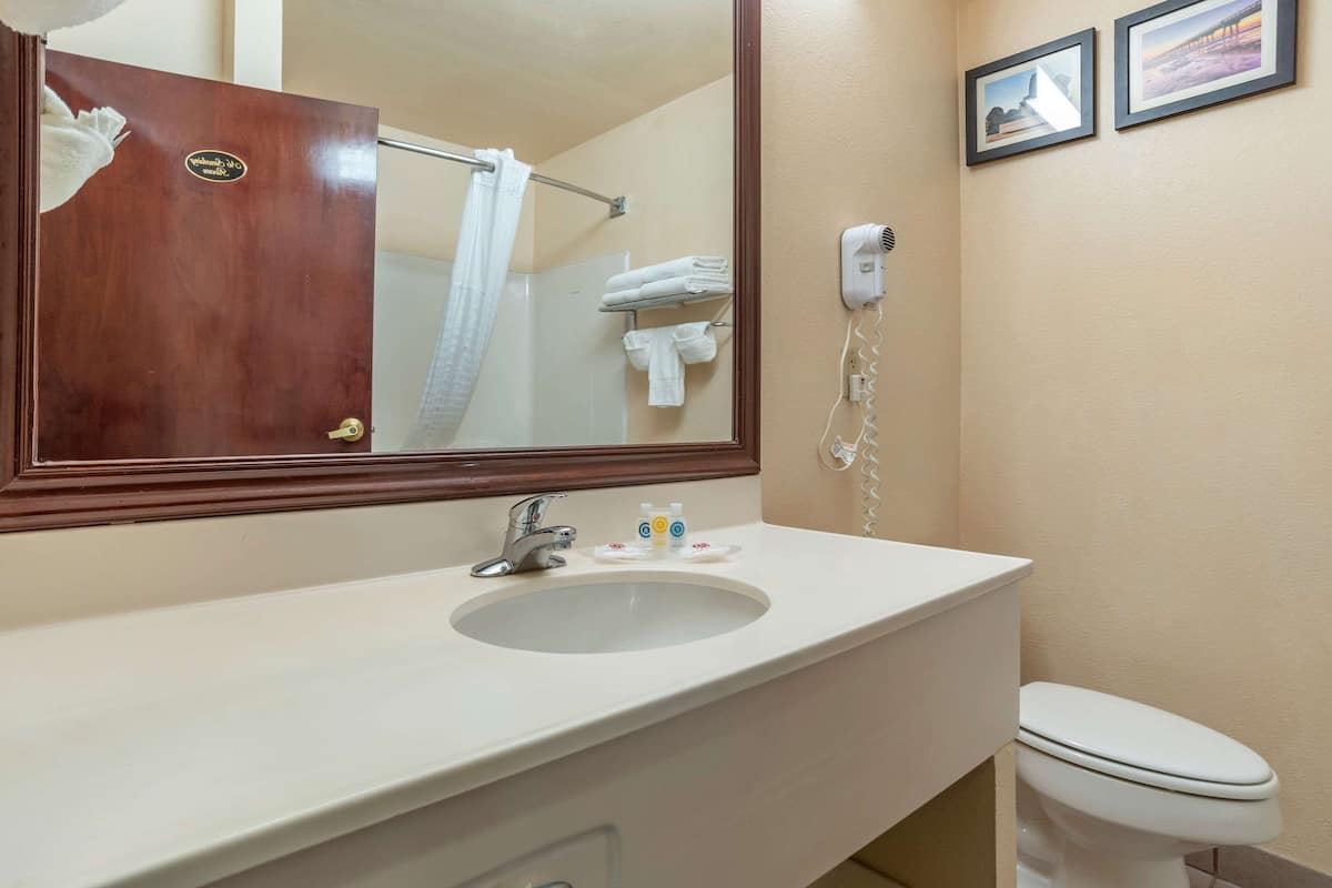 combined shower/bathtub, hair dryer, slippers, towels
