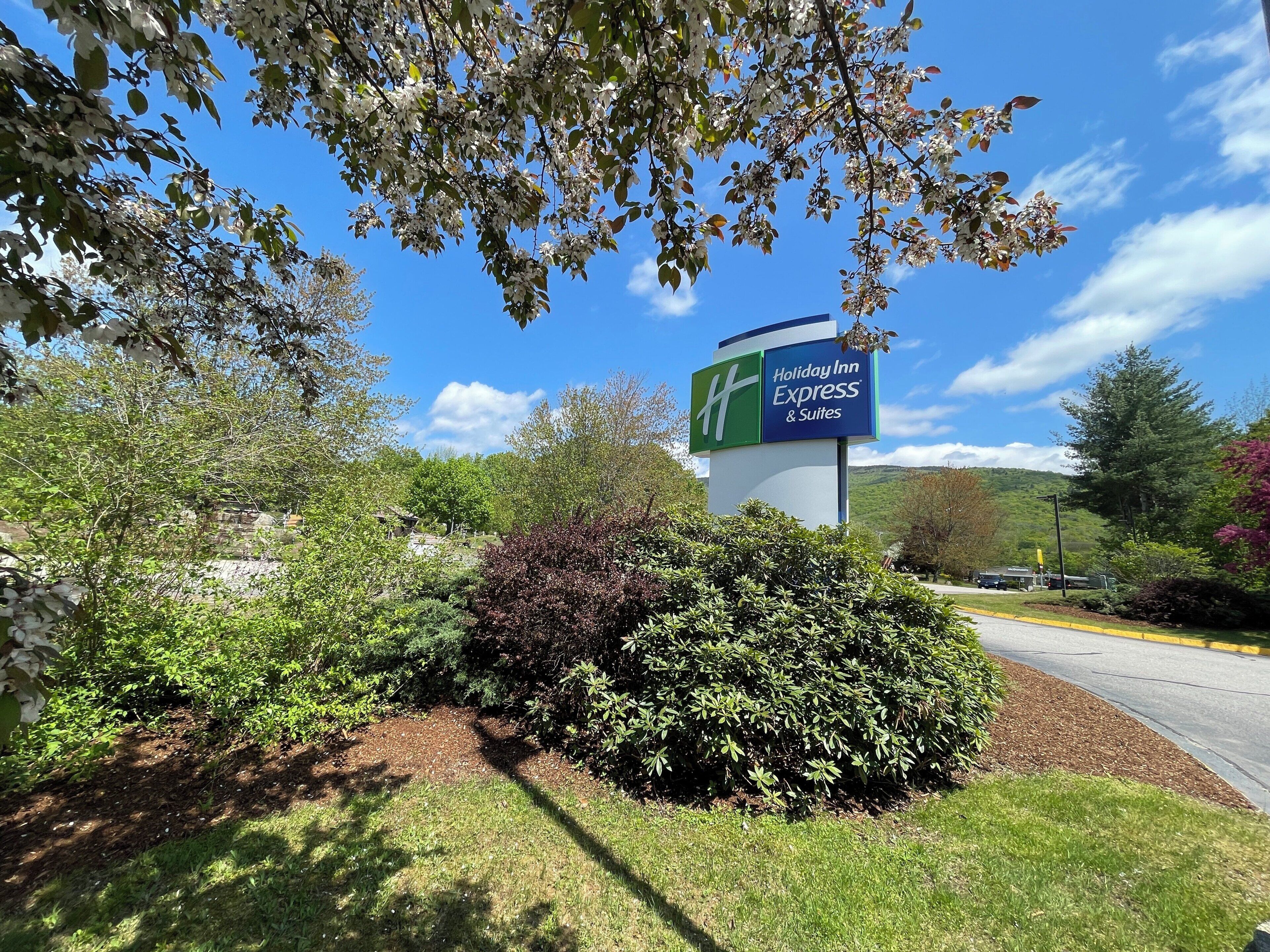 A Holiday Inn Express sign surrounded by greenery and a clear sky.