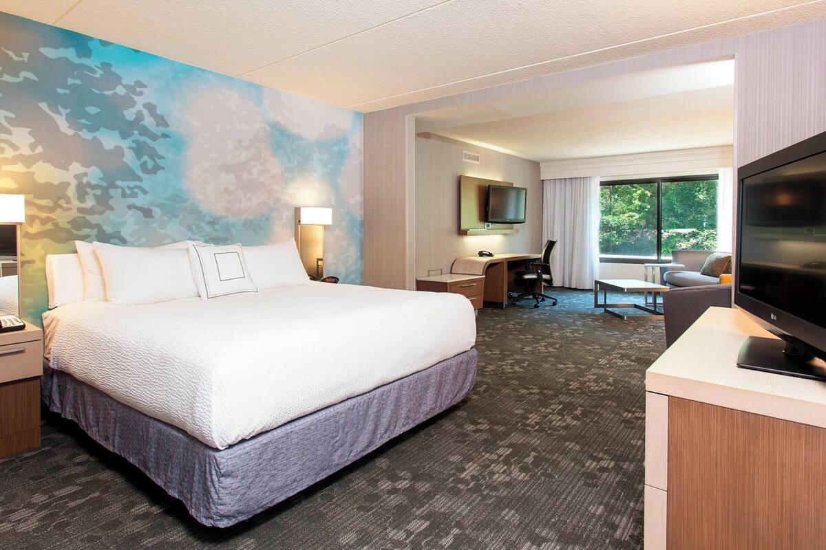 A hotel room with a large bed, a desk, a chair, a TV, and a window with a view of greenery.