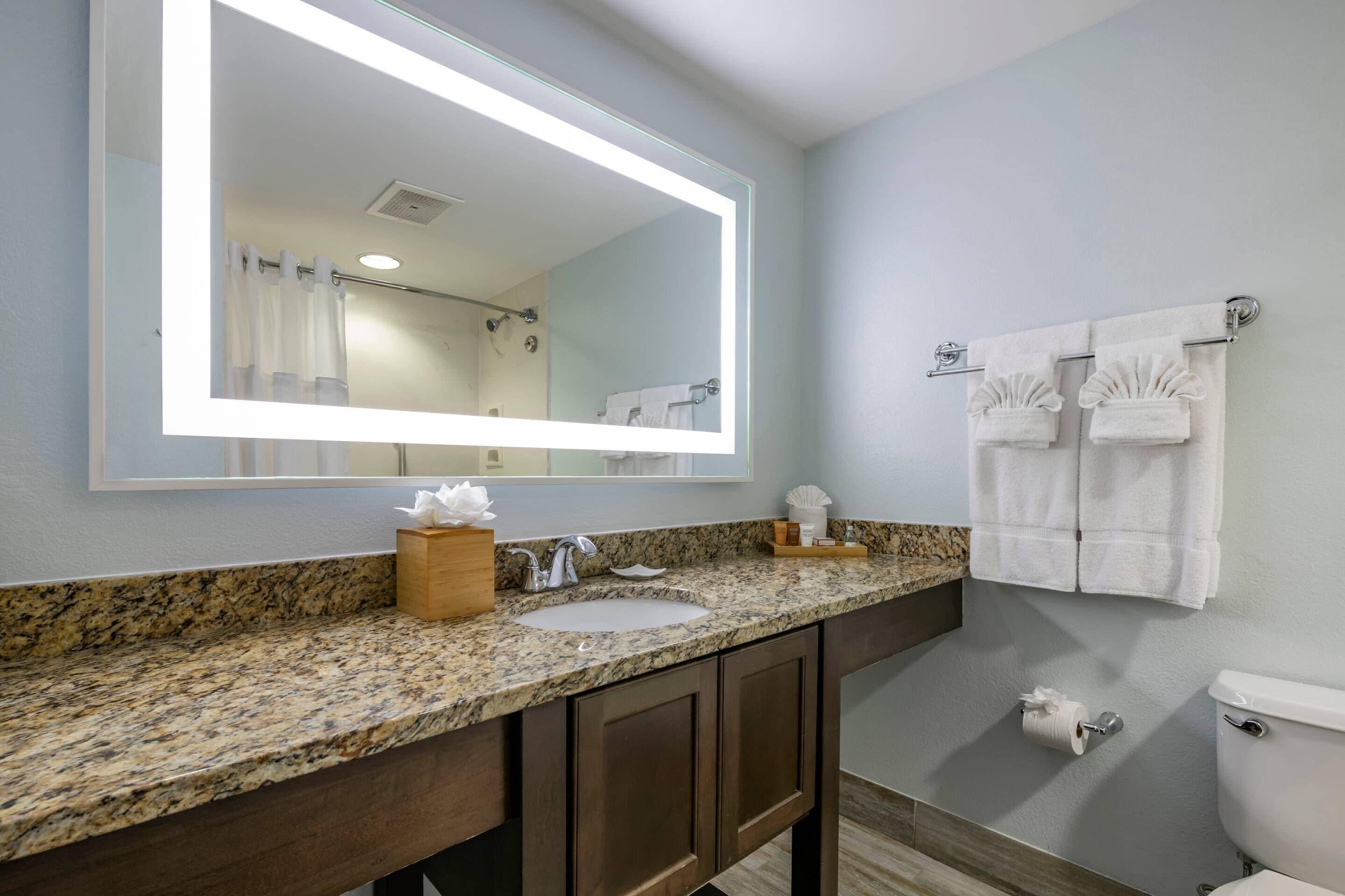 A bathroom with a granite countertop, a sink, a mirror, a toilet, and a shower.