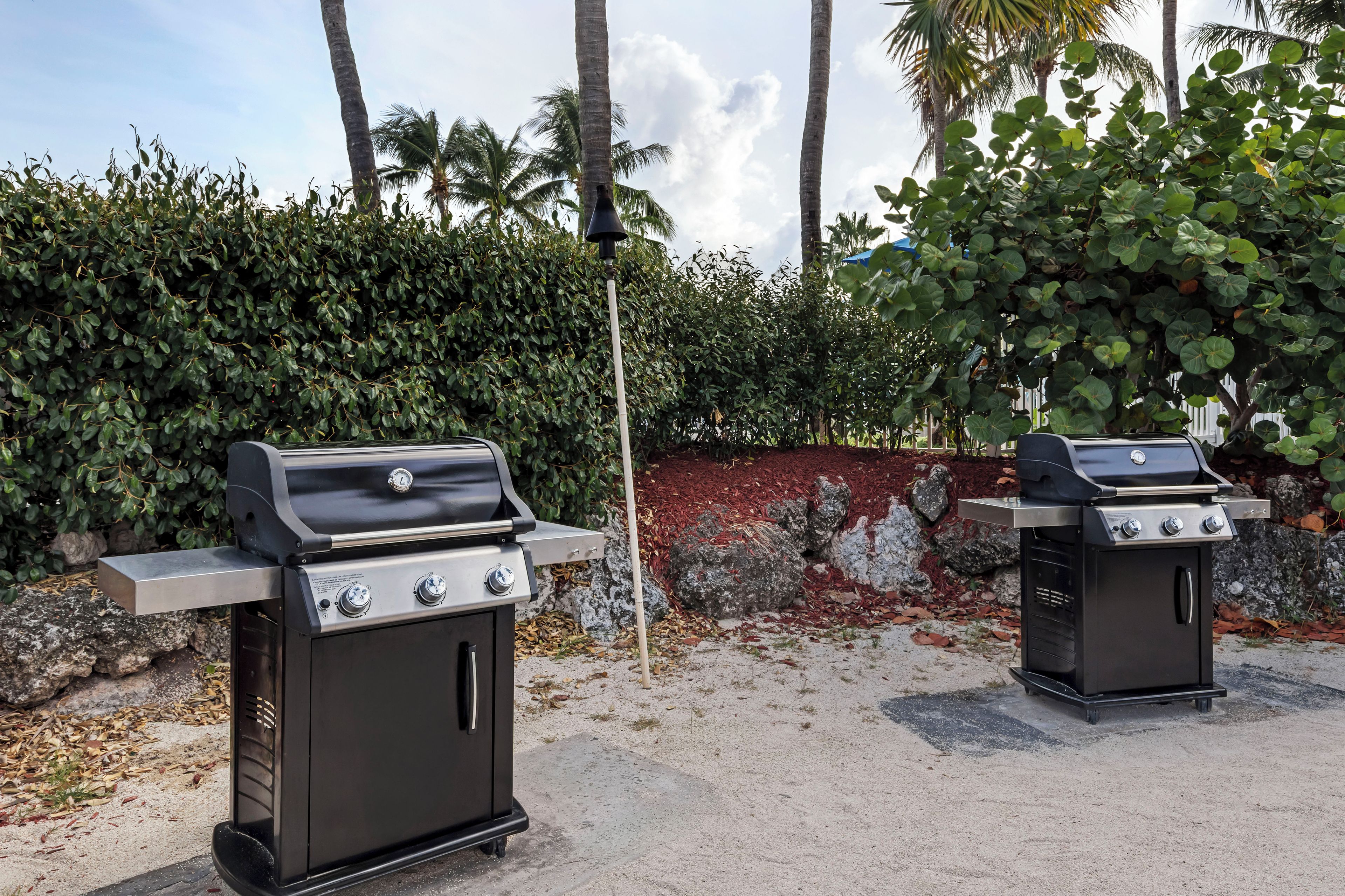 Two outdoor barbecue grills with a hedge and palm trees in the background.