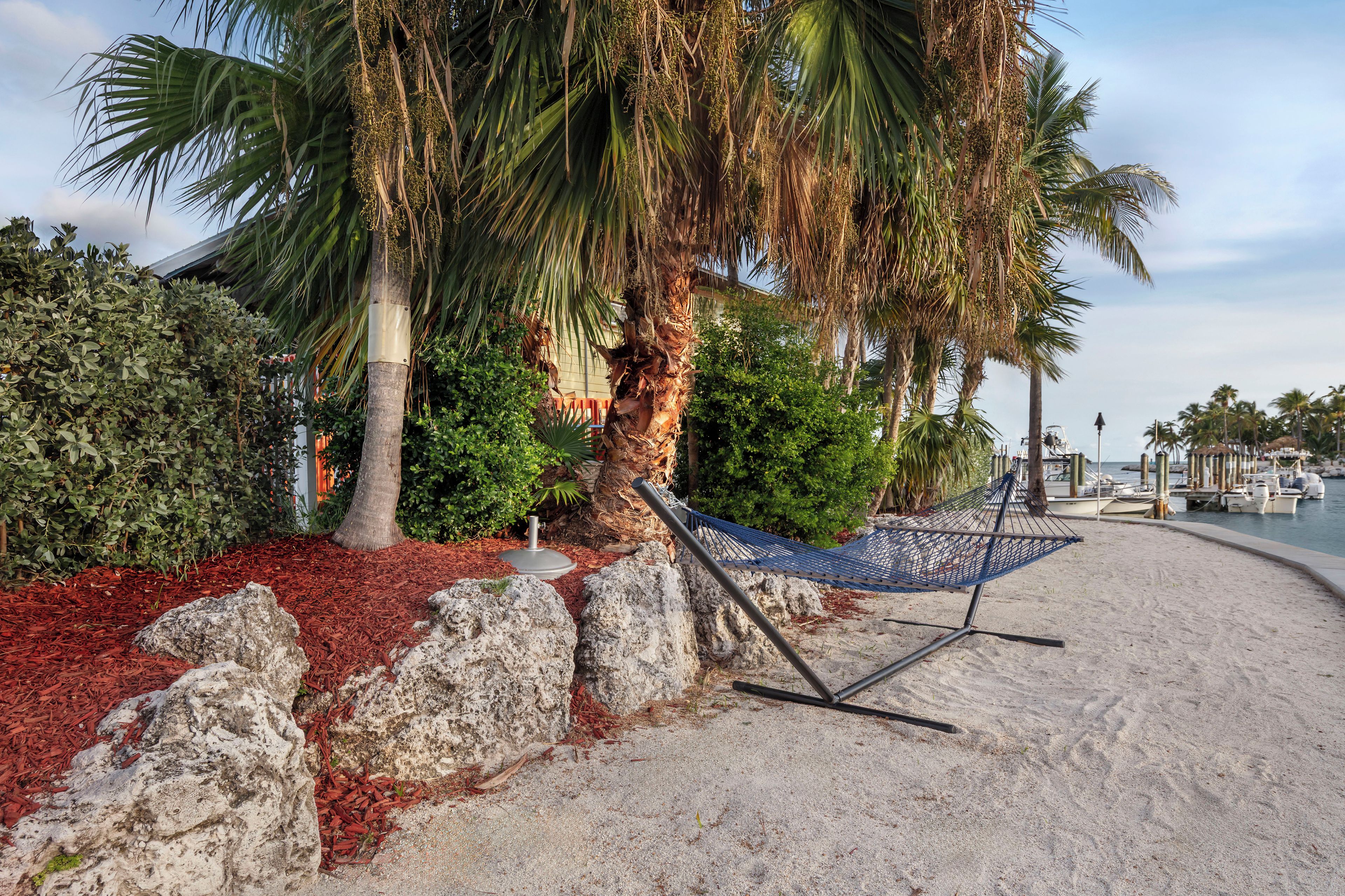 A hammock on a sandy beach with palm trees and a rocky shoreline.