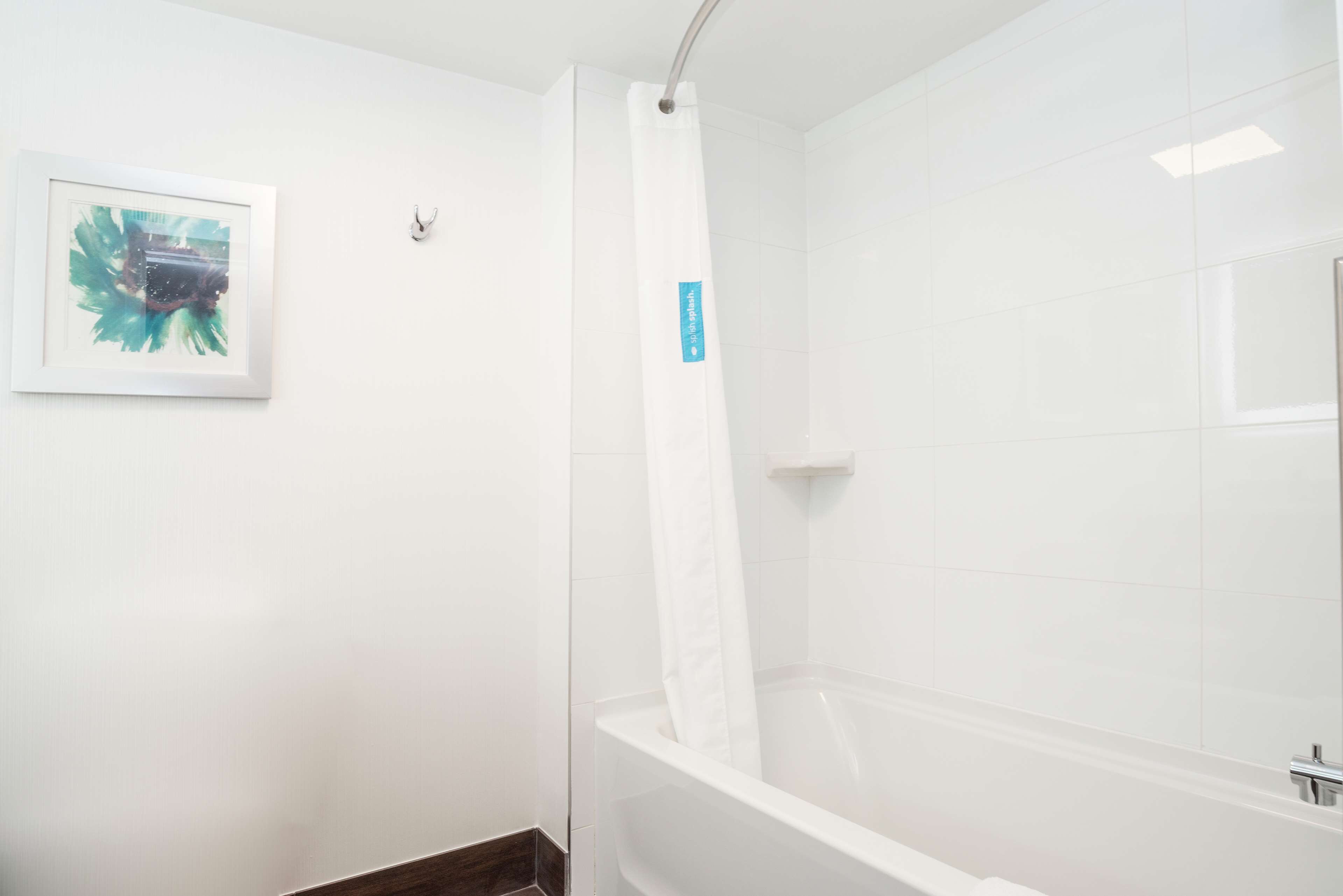 A bathroom with a white bathtub, a shower curtain, and a framed picture on the wall.