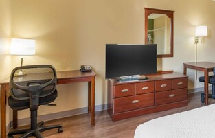 Habitación de hotel con escritorio, silla, televisor, cómoda y espejo.