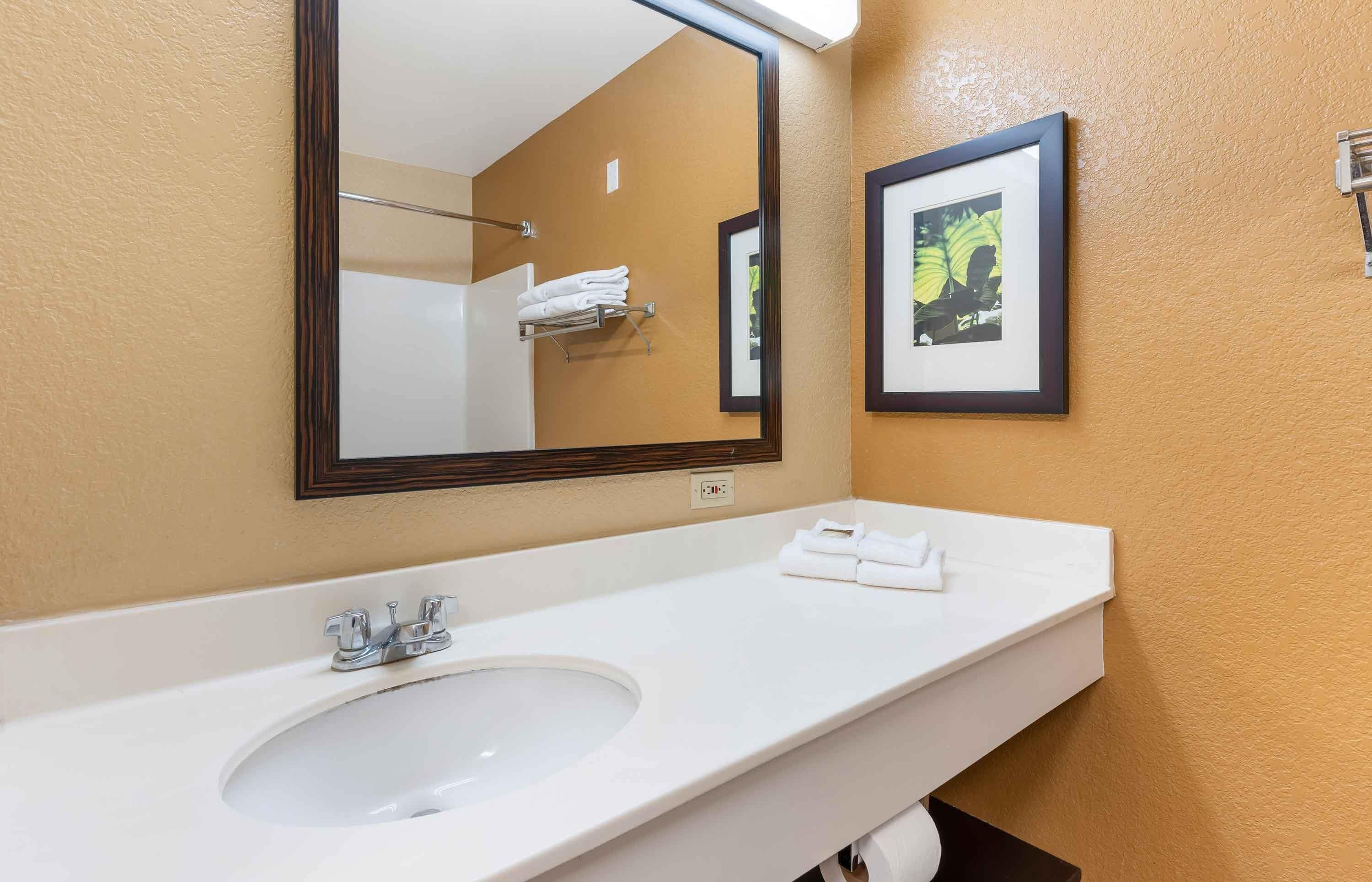A bathroom with a white sink, a mirror, and a framed picture on the wall.