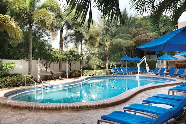 Outdoor pool, sun loungers