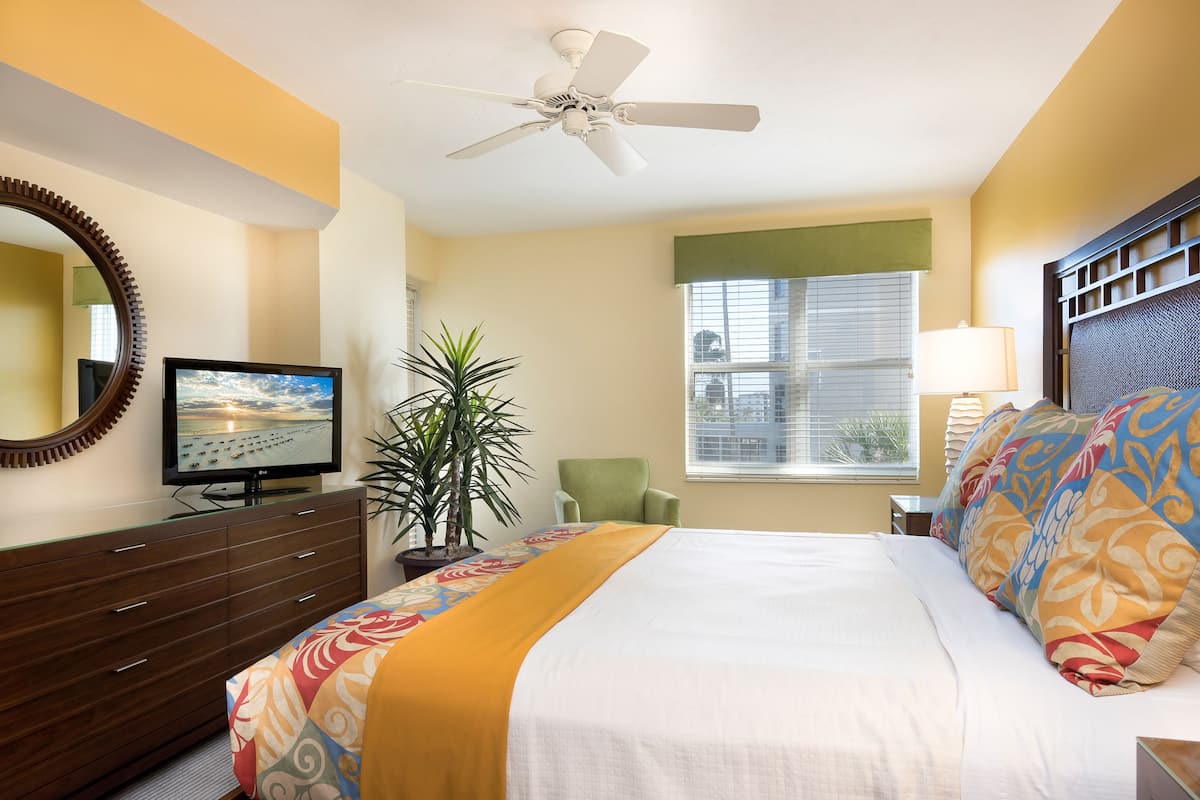 A hotel room with a bed, a television, a green chair, a potted plant, and a window with blinds.