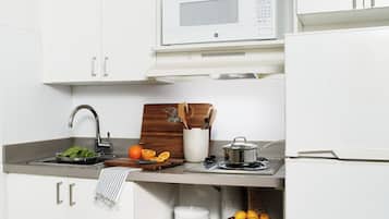 Full-size fridge, microwave, oven