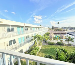 إطلالة على الفناء