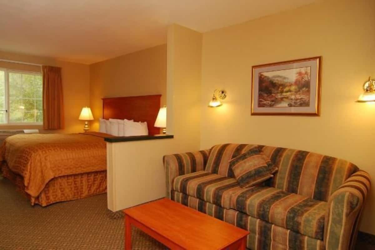 In-room safe, laptop workspace, blackout curtains, iron/ironing board