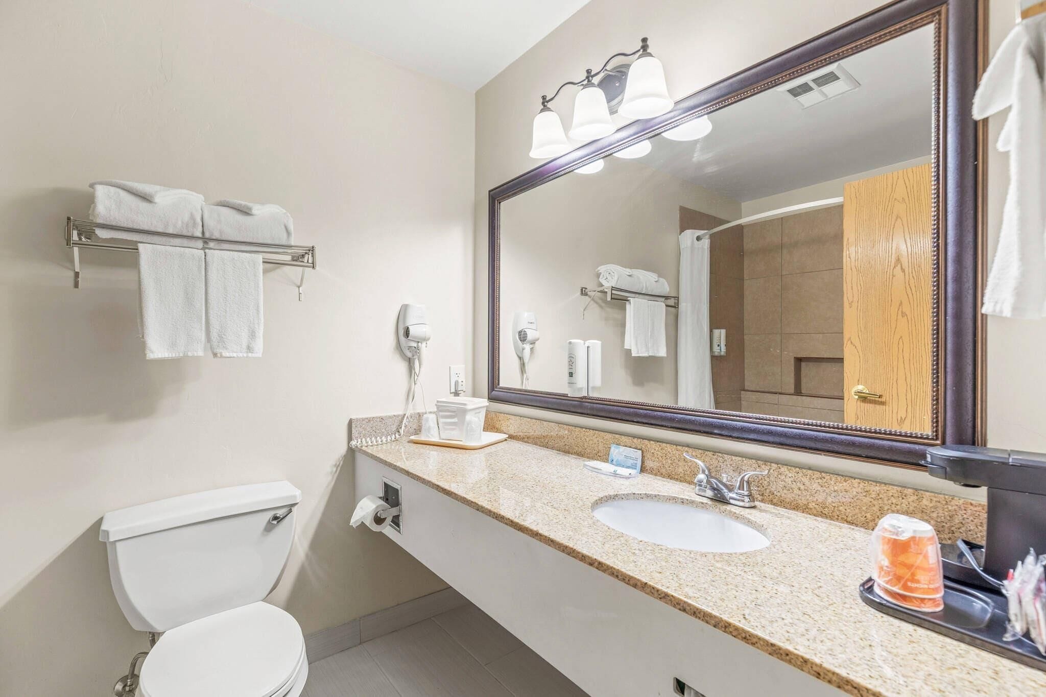 A bathroom with a toilet, sink, and large mirror. There are towels on a rack and a hairdryer on the wall.