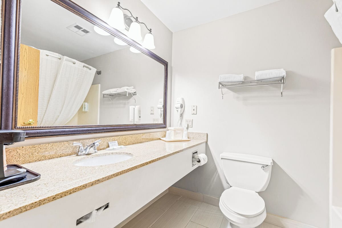 Combined shower/bathtub, free toiletries, hair dryer, towels
