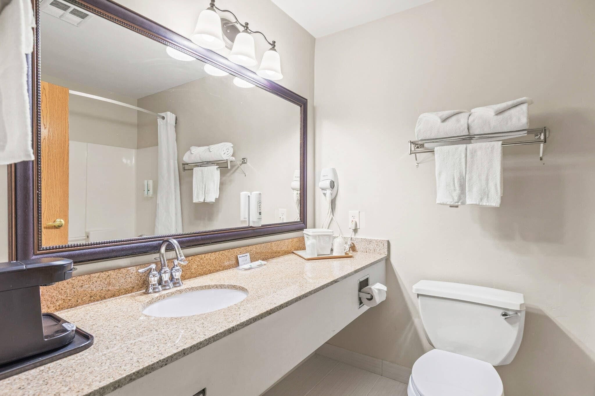 Combined shower/tub, free toiletries, hair dryer, towels