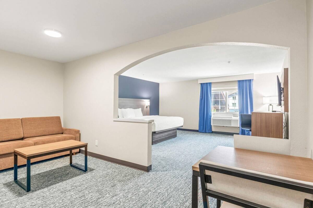 A hotel room with a sofa, a bed, a desk, and a chair.