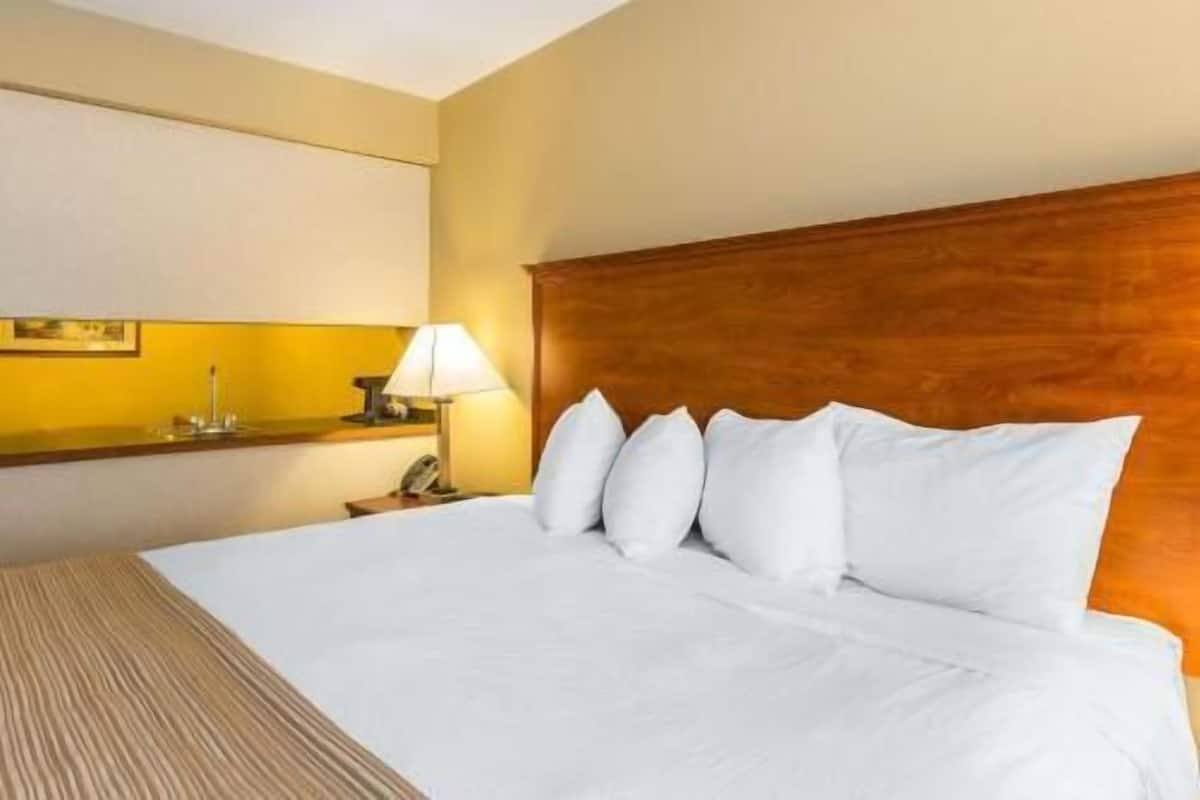 In-room safe, laptop workspace, blackout curtains, iron/ironing board
