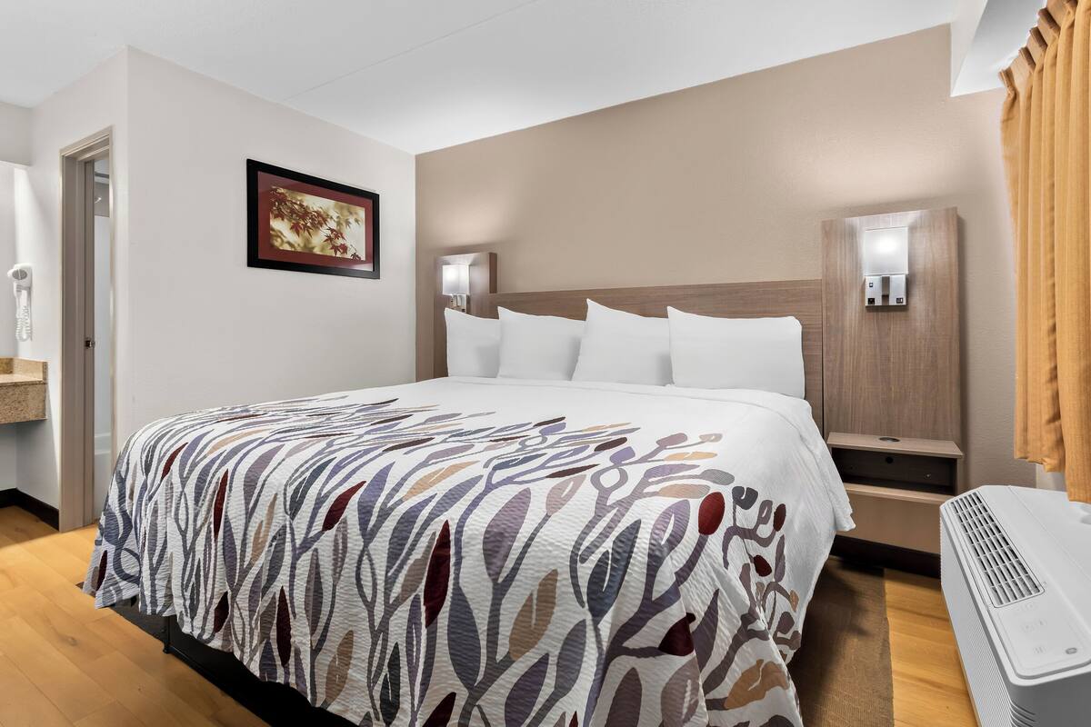 Une chambre d’hôtel avec un grand lit, une table de chevet, un climatiseur fixé au mur et un tableau encadré accroché au mur.