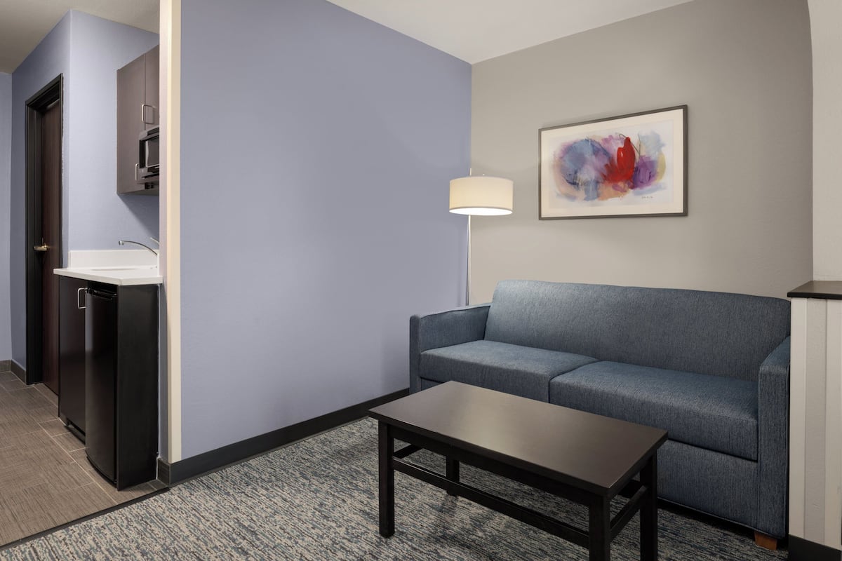 Habitación de hotel moderna con un sofá gris, una mesita, una lámpara, un lavamanos y un microondas.