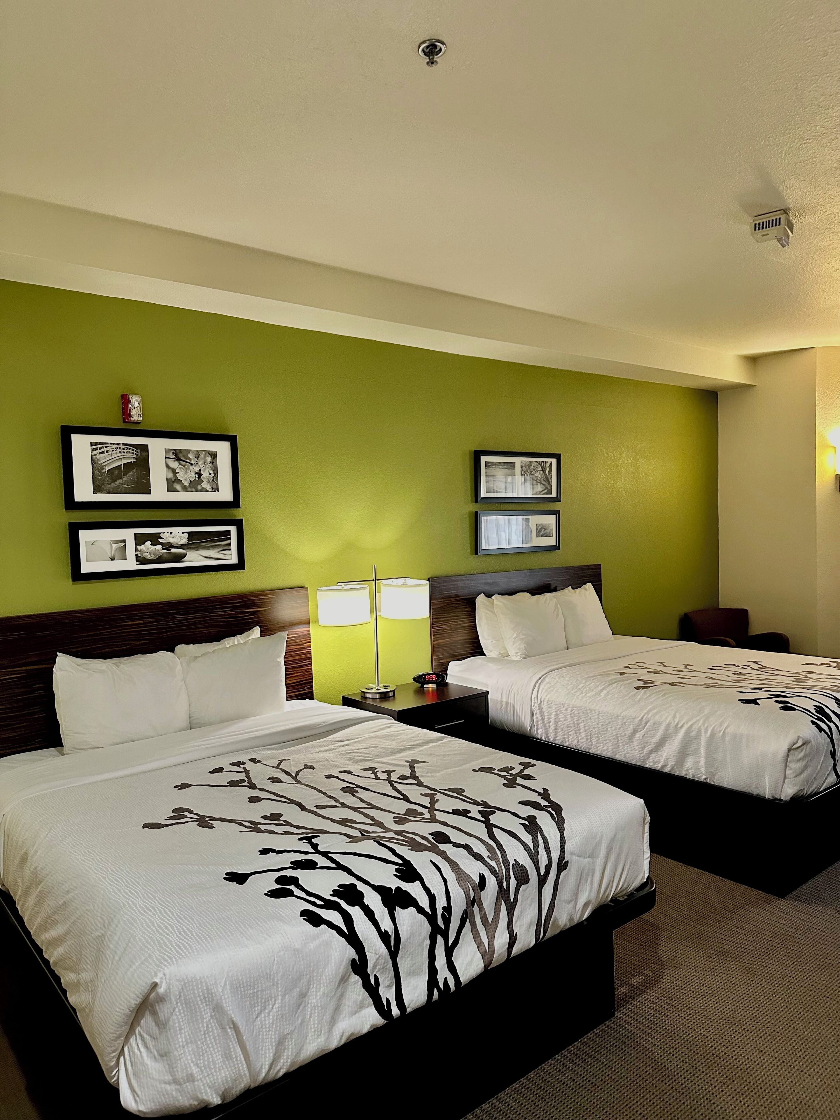 Photo - Sleep Inn & Suites Tulsa Central I-44