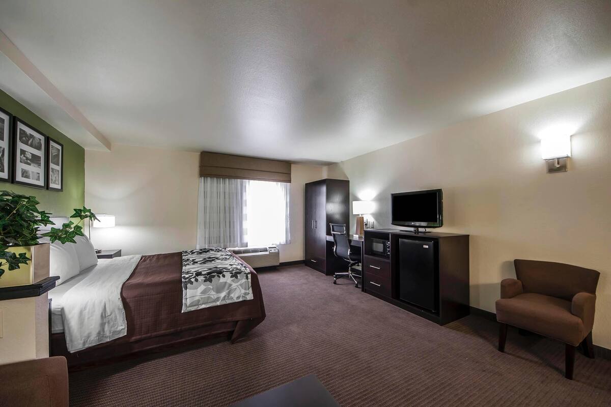 A hotel room with a bed, desk, chair, television, and a plant.