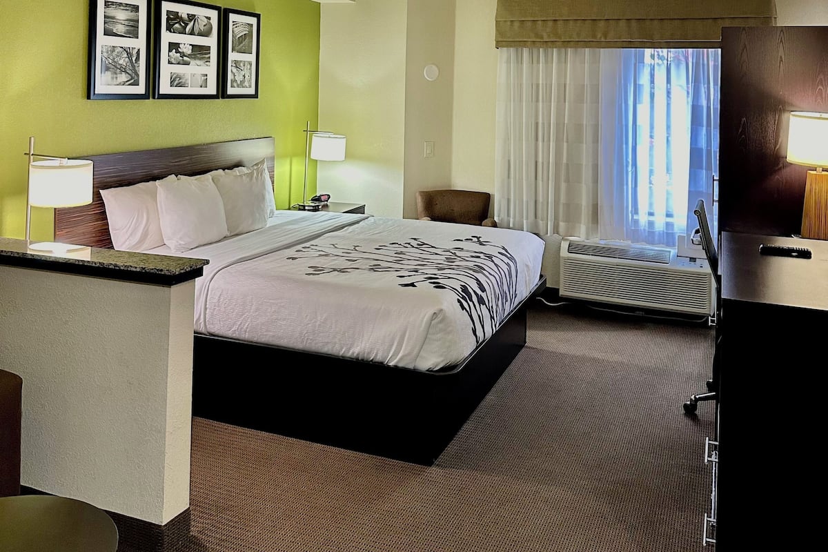 Suite, 1 cama de matrimonio grande con sofá cama, no fumadores | Caja fuerte, escritorio, espacio para trabajar con un portátil
