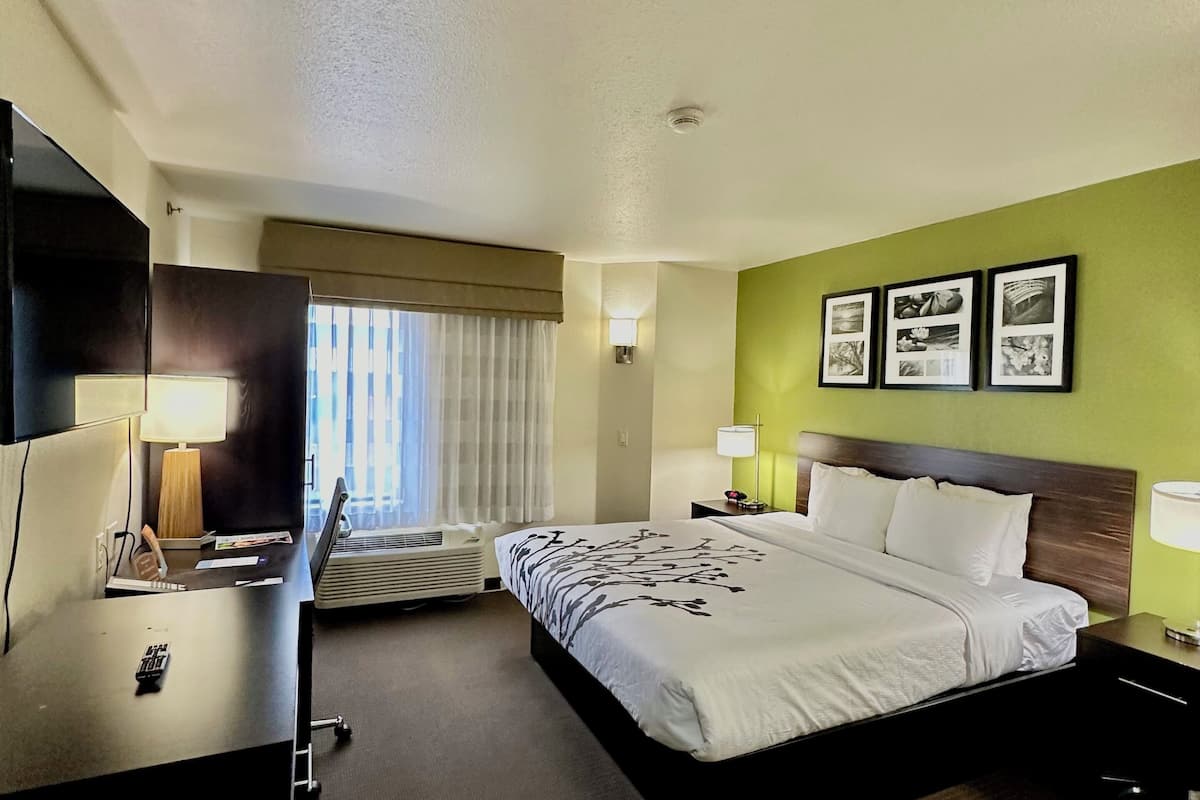 Suite, 2 Bedrooms (1 King Bed and 1 Sofa Bed)