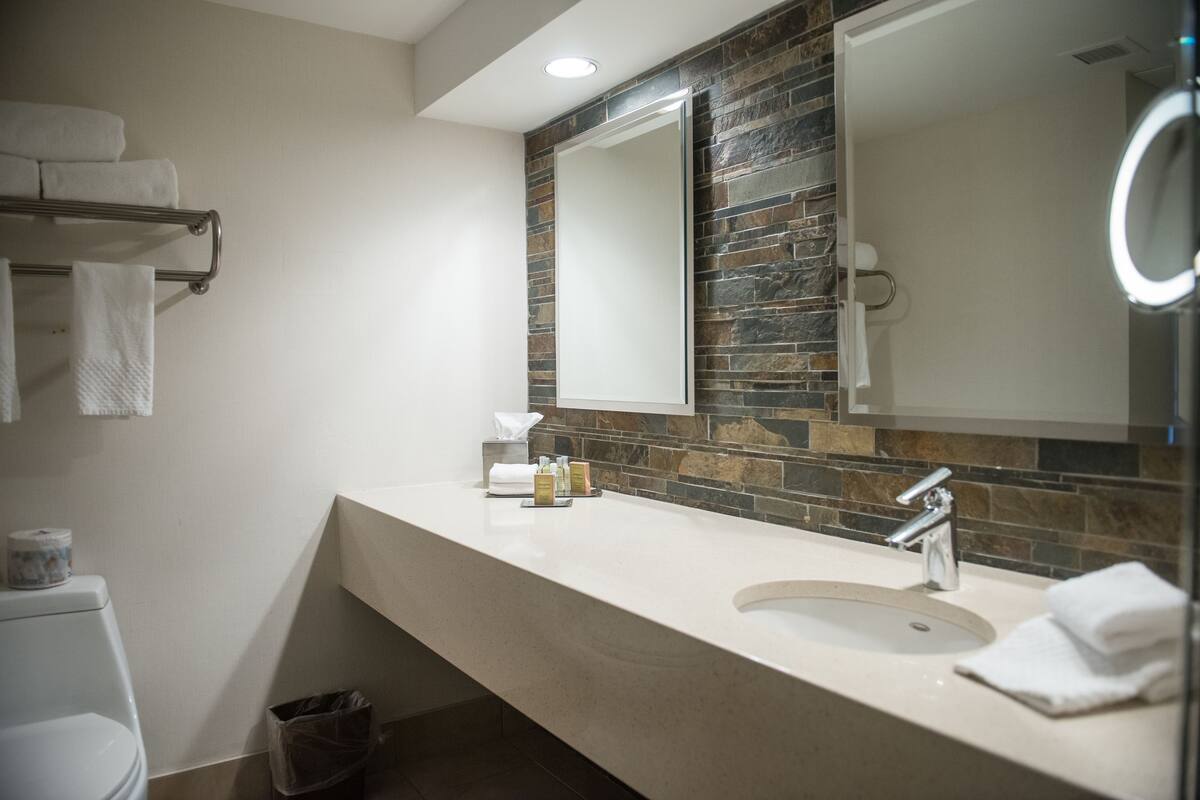 Une salle de bain avec un pare-feu en pierre, un grand miroir, un lavabo et des toilettes.