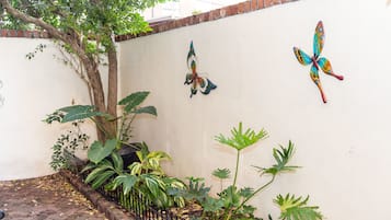 Vista al patio