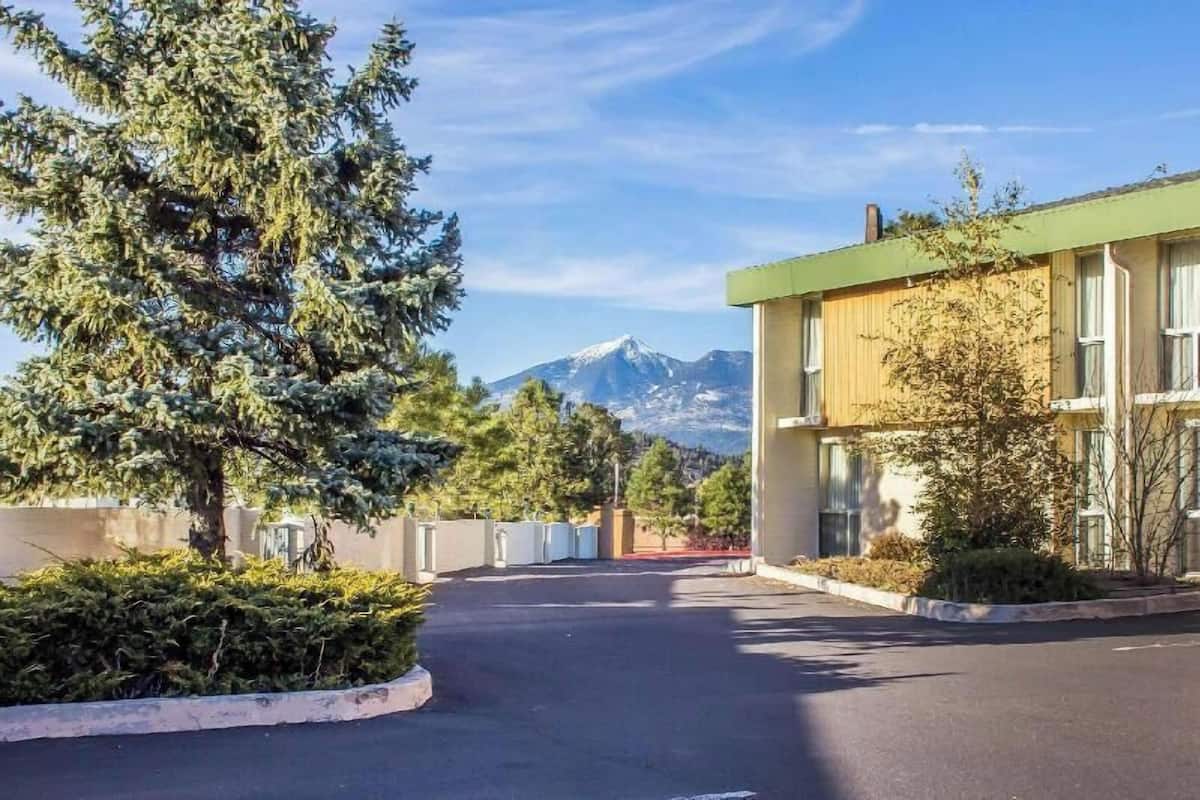 Un edificio con vista a la montaña, un estacionamiento y un árbol en primer plano.