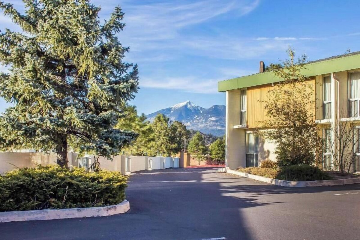 Un edificio con vista a la montaña, un estacionamiento y un árbol en primer plano.