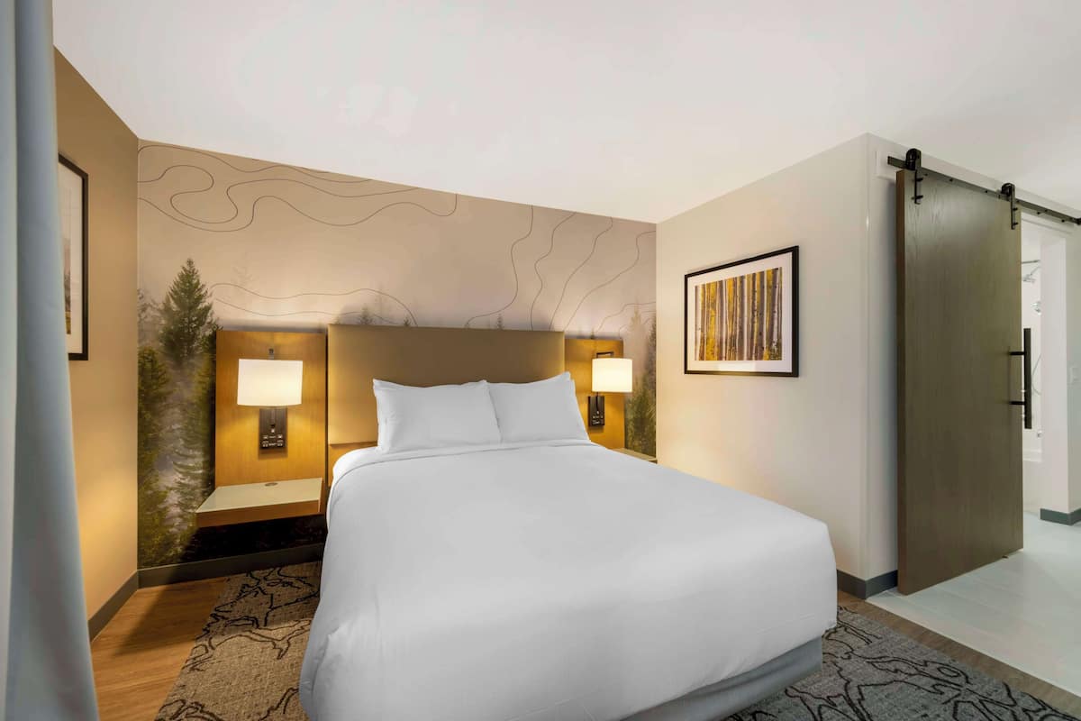 Una habitación de hotel con una cama grande, dos lámparas de noche, un televisor instalado en la pared y una puerta corredera.