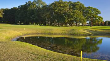 A golf course with a pond, trees, and a flag.