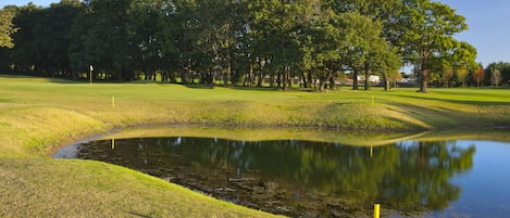 Golfkenttä, jossa on lampi, puita ja lippu.