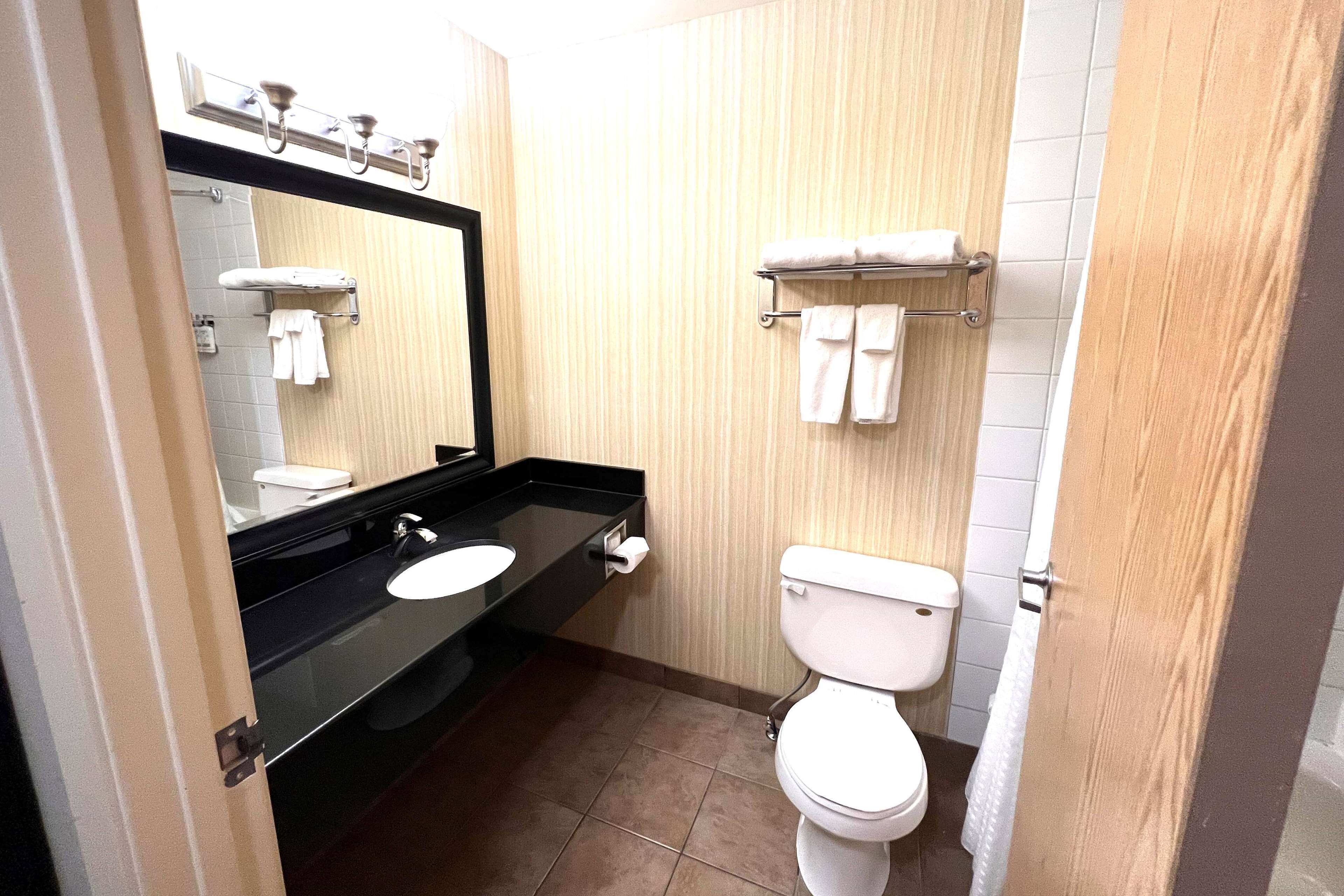A bathroom with a black countertop sink, a white toilet, and a mirror above the sink.