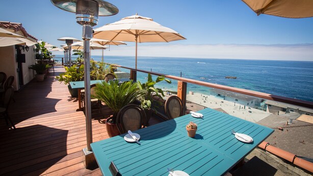 Una terraza frente al mar con asientos al aire libre, plantas en macetas y vistas al océano.