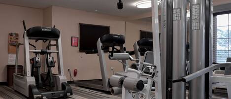 A gym with Landice equipment, a mirrored wall, and a window with a view.