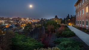 A nighttime view of a cityscape with a prominent building on the right, a well-lit pathway, and a visible moon in the sky.