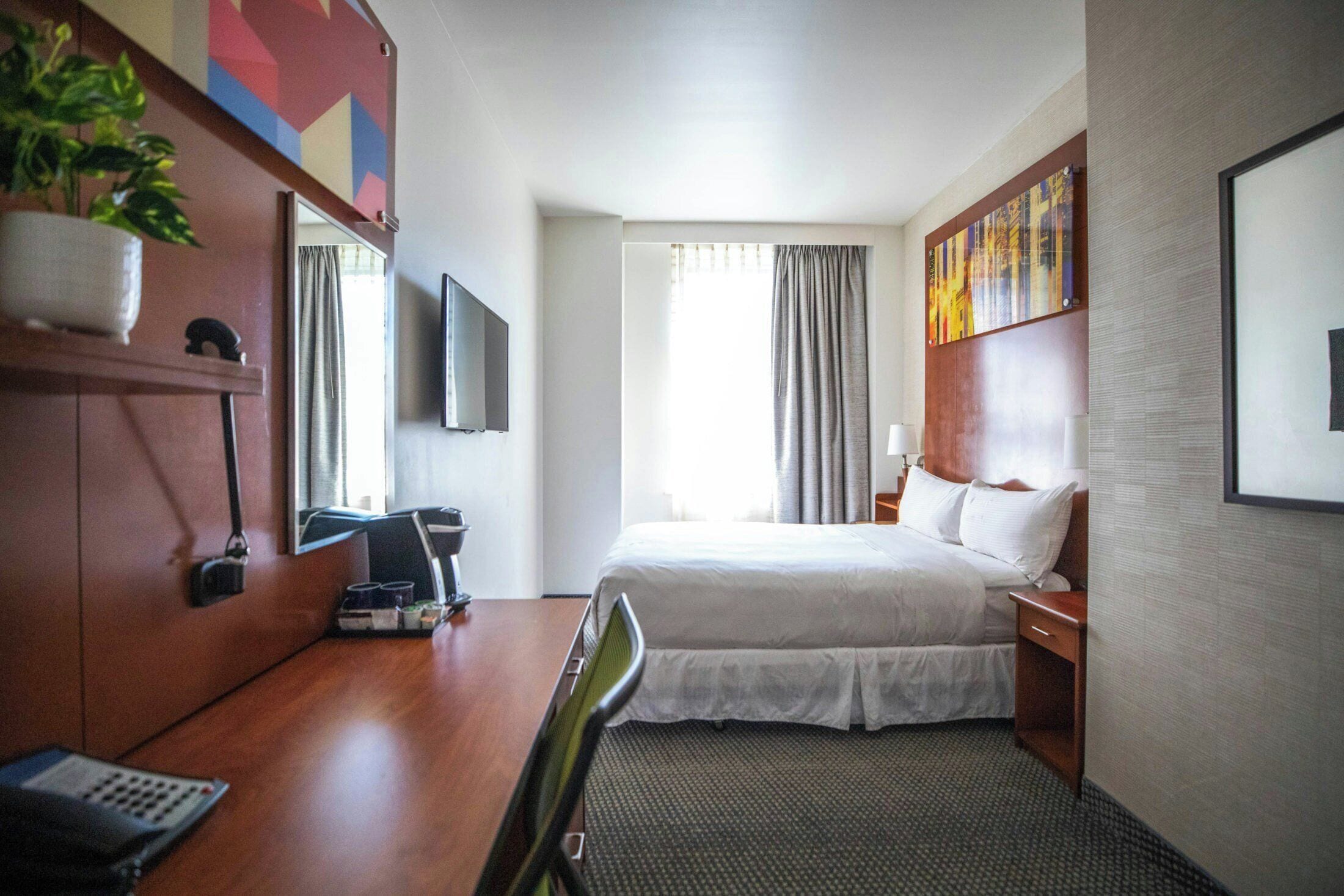 Una habitación de hotel con cama, escritorio, silla, televisor, planta y un cuadro en la pared.