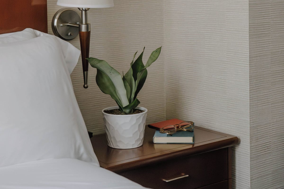 1 間睡房、高級寢具、房內夾萬、書桌