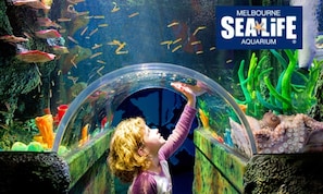 Een kind kijkt door een gang in een aquarium naar verschillende zeedieren.