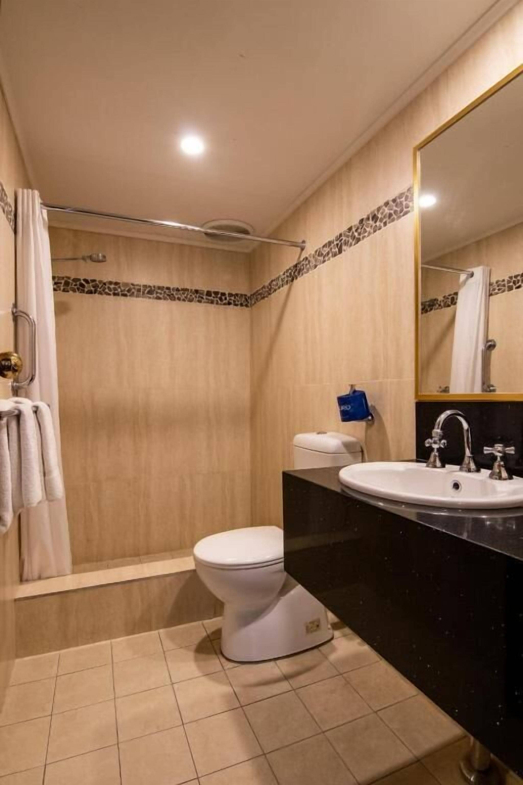 A bathroom with a shower, toilet, sink, and a mirror.