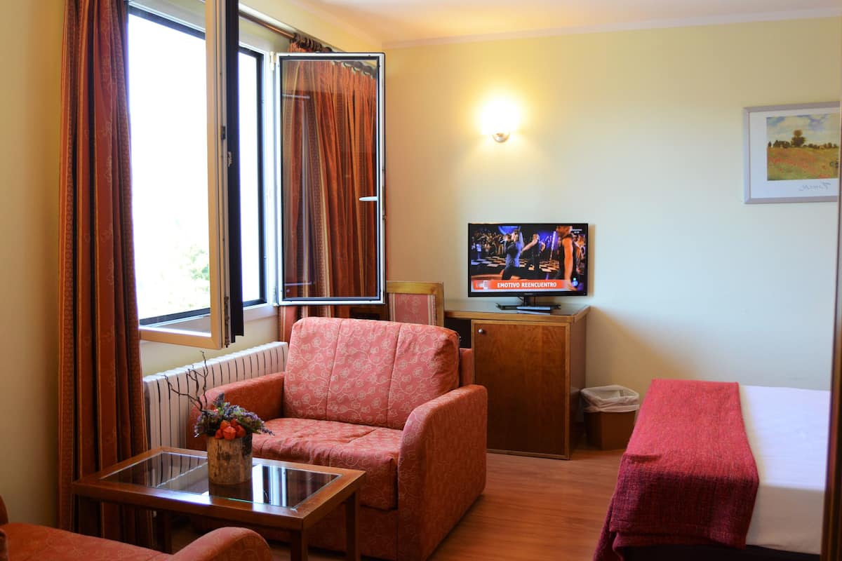 A hotel room with a sofa, a small table with a vase, a television, a bed, and a window with curtains.