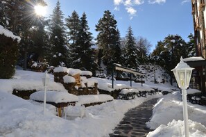 Vista des de l'allotjament