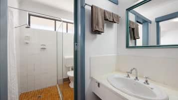 A bathroom with a shower, toilet, sink, and a large mirror.