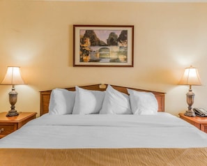 Pillowtop beds, desk, iron/ironing board, free WiFi - Rodeway Inn Sylacauga Hwy 280 (Sylacauga)