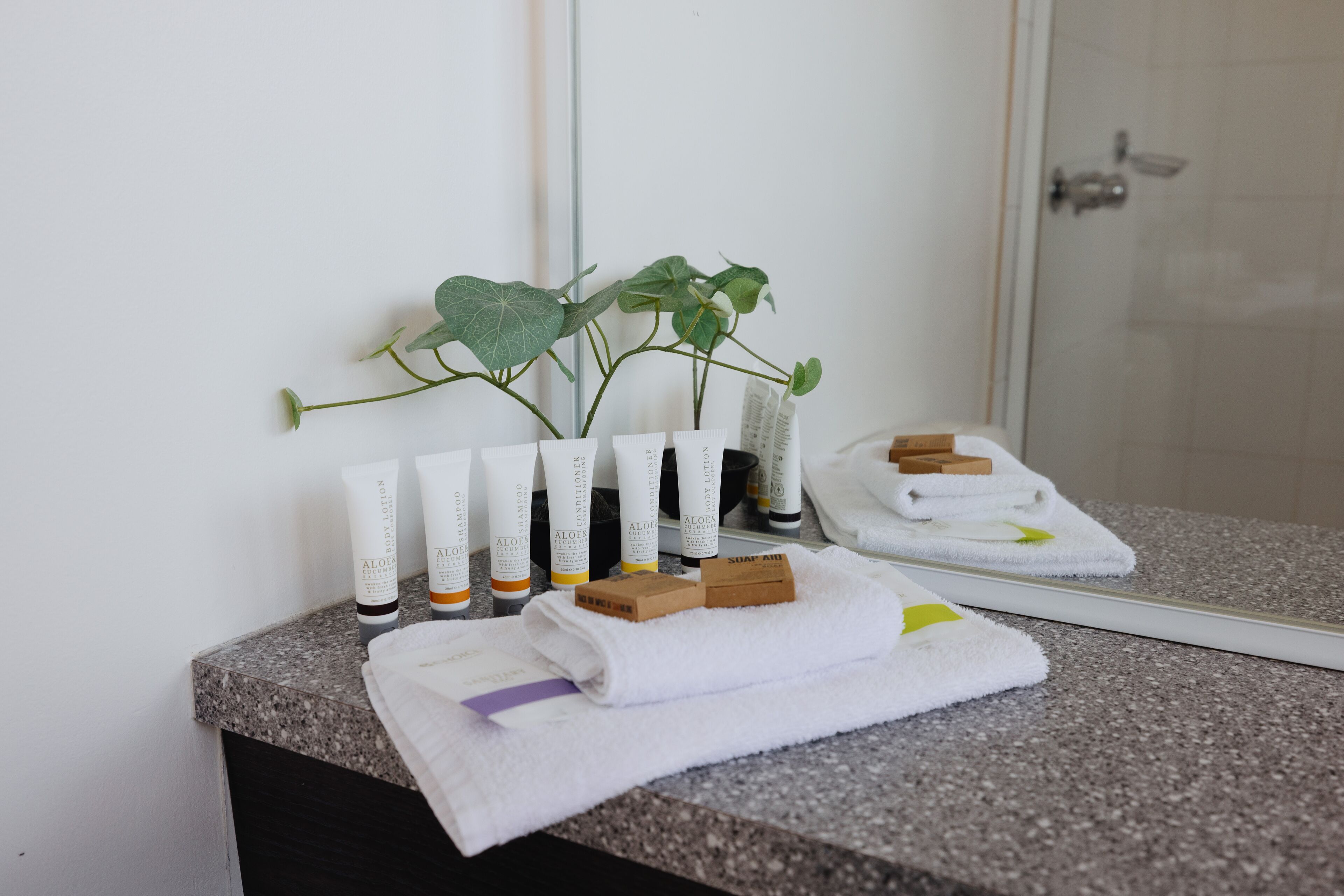 standard room, 1 double bed | bathroom | shower, hair dryer, towels