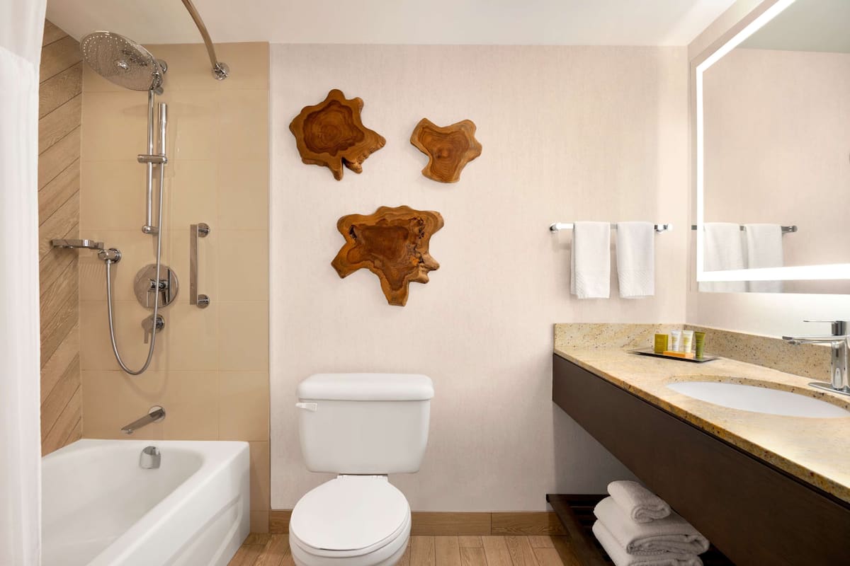 shower, designer toiletries, hair dryer, towels