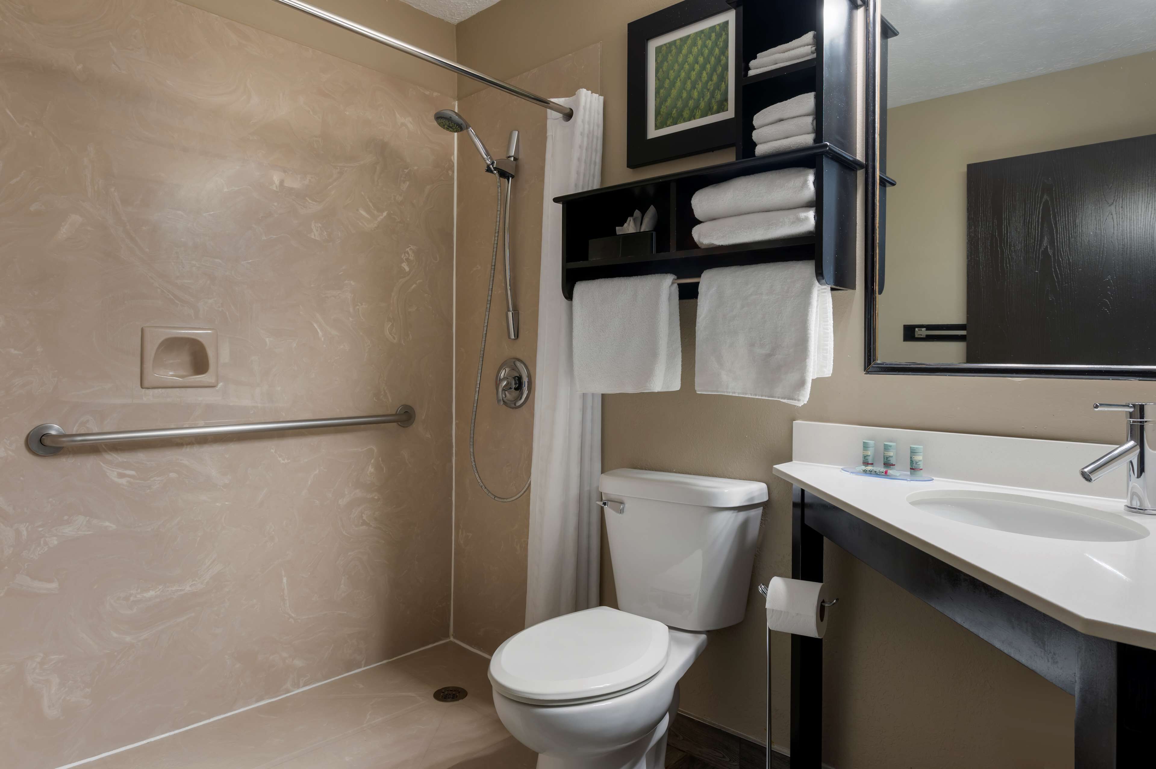 A modern bathroom with a walk-in shower, a toilet, a sink, and a towel rack.